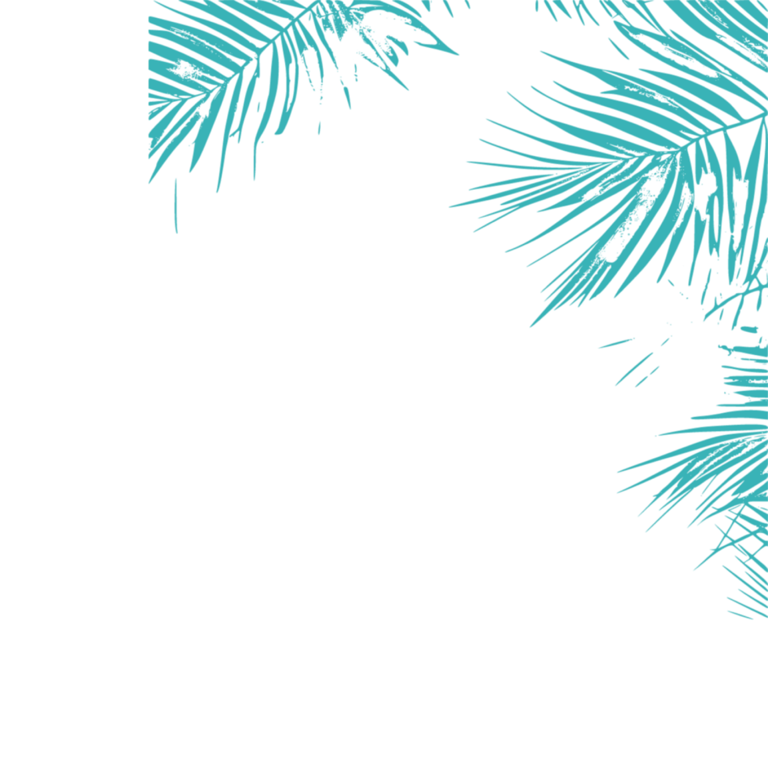 Palms