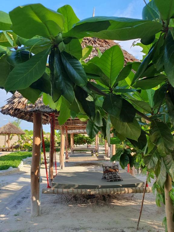 Hammock Lounging Areas
